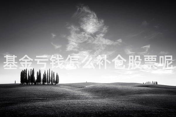 基金亏钱怎么补仓股票呢