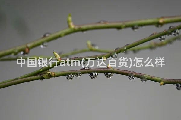 中国银行atm(万达百货)怎么样