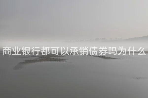 商业银行都可以承销债券吗为什么