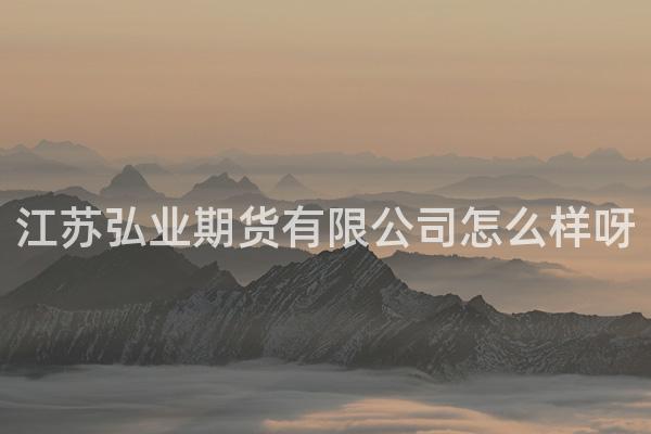 江苏弘业期货有限公司怎么样呀
