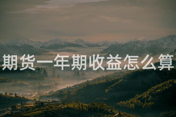 期货一年期收益怎么算