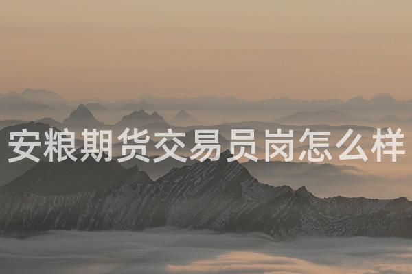 安粮期货交易员岗怎么样