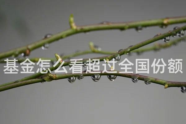 基金怎么看超过全国份额