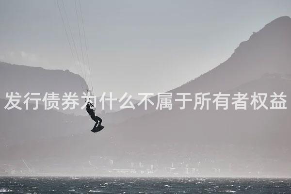 发行债券为什么不属于所有者权益