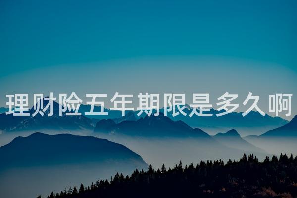 理财险五年期限是多久啊