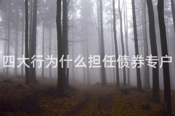 四大行为什么担任债券专户