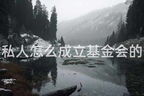 私人怎么成立基金会的