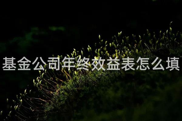 基金公司年终效益表怎么填
