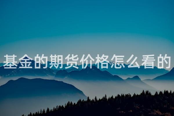 基金的期货价格怎么看的