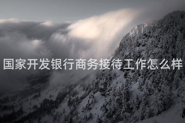国家开发银行商务接待工作怎么样