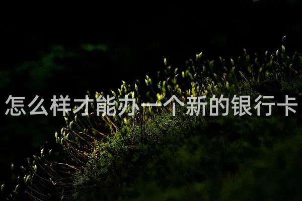 怎么样才能办一个新的银行卡