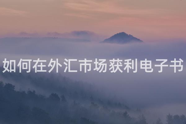 如何在外汇市场获利电子书