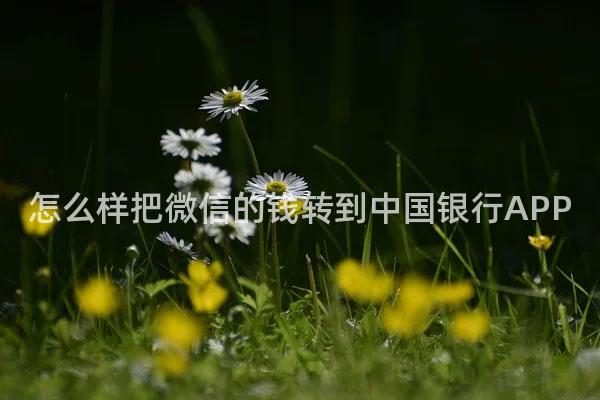怎么样把微信的钱转到中国银行APP