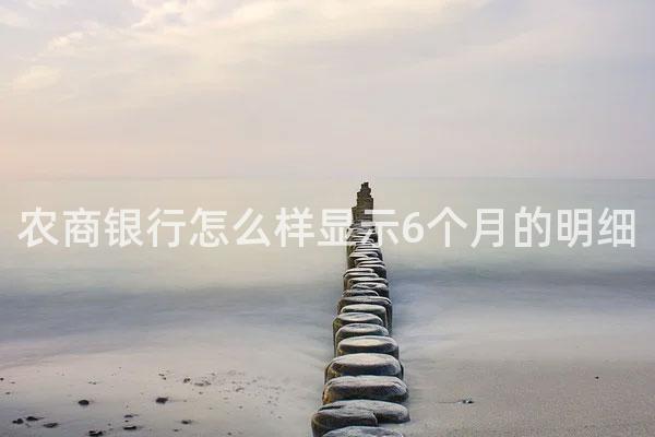 农商银行怎么样显示6个月的明细