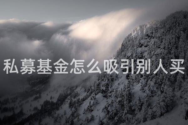 私募基金怎么吸引别人买