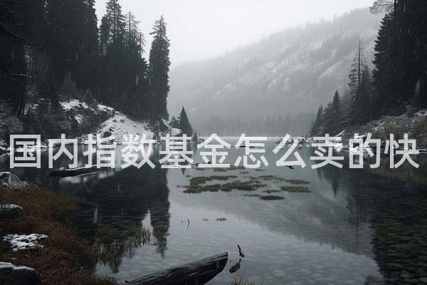 国内指数基金怎么卖的快