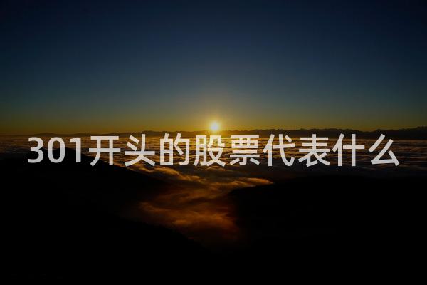 301开头的股票代表什么