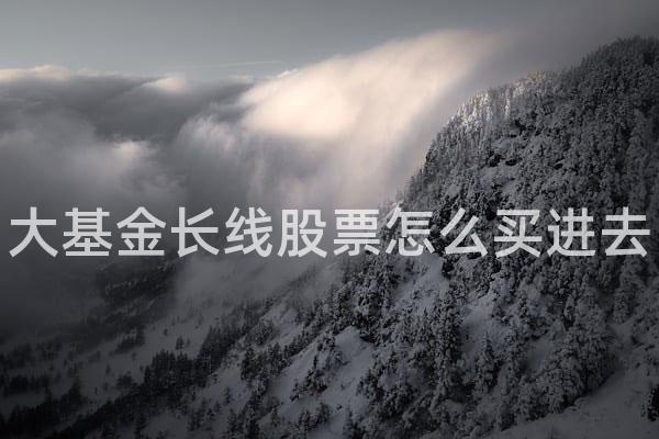 大基金长线股票怎么买进去