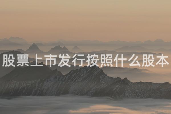 股票上市发行按照什么股本
