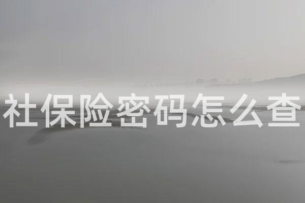 社保险密码怎么查