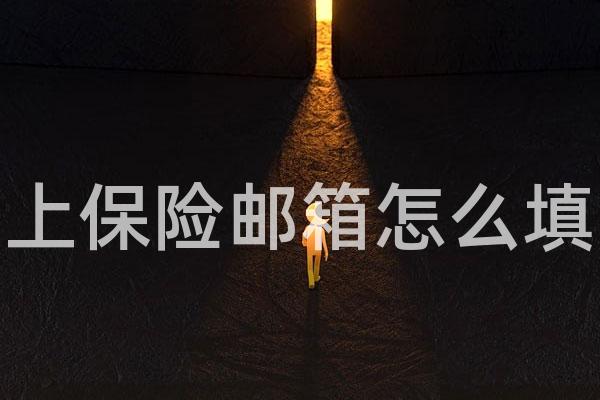上保险邮箱怎么填
