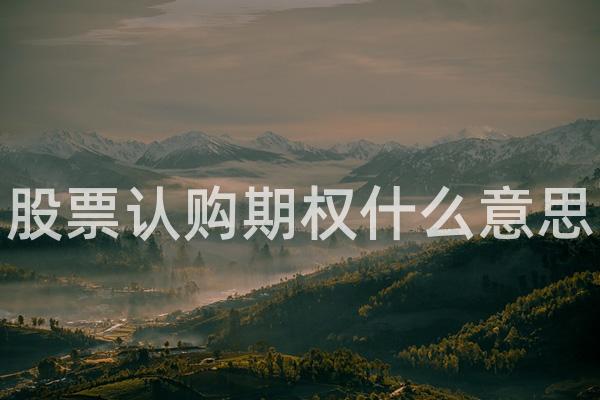 股票认购期权什么意思