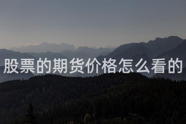 股票的期货价格怎么看的