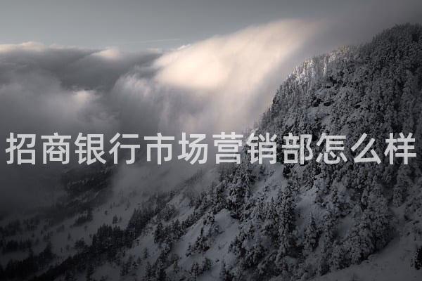 招商银行市场营销部怎么样