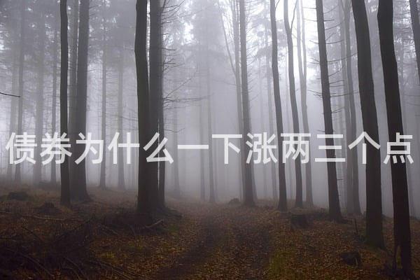 债券为什么一下涨两三个点