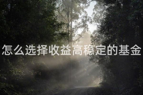 怎么选择收益高稳定的基金