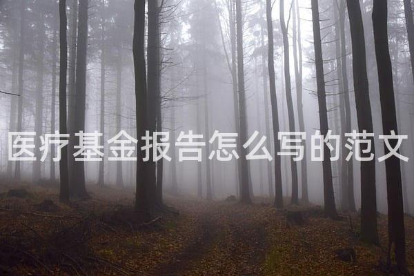 医疗基金报告怎么写的范文