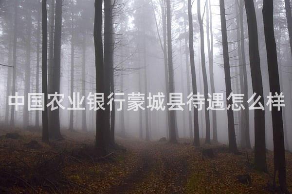 中国农业银行蒙城县待遇怎么样