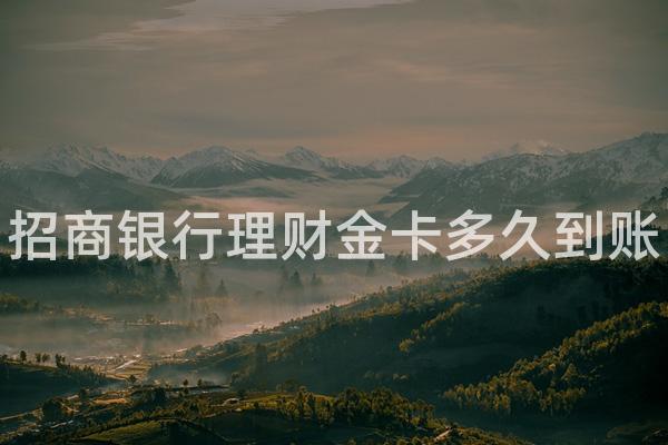 招商银行理财金卡多久到账