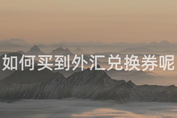 如何买到外汇兑换券呢