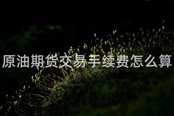 原油期货交易手续费怎么算