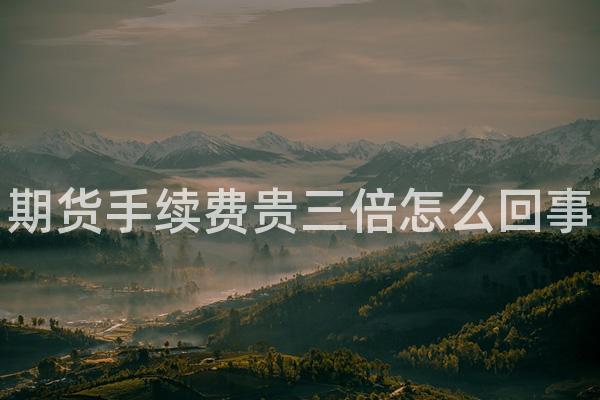 期货手续费贵三倍怎么回事
