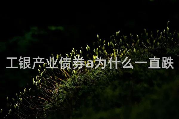 工银产业债券a为什么一直跌