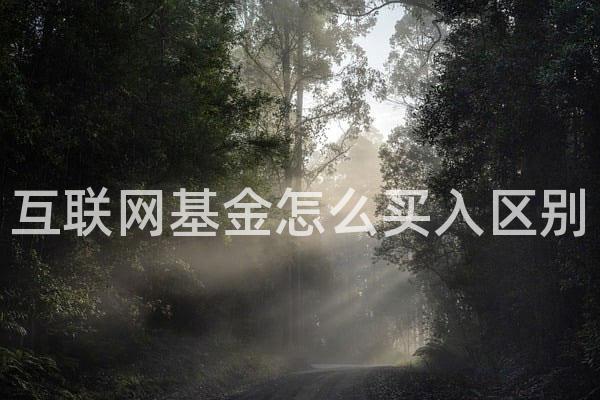 互联网基金怎么买入区别