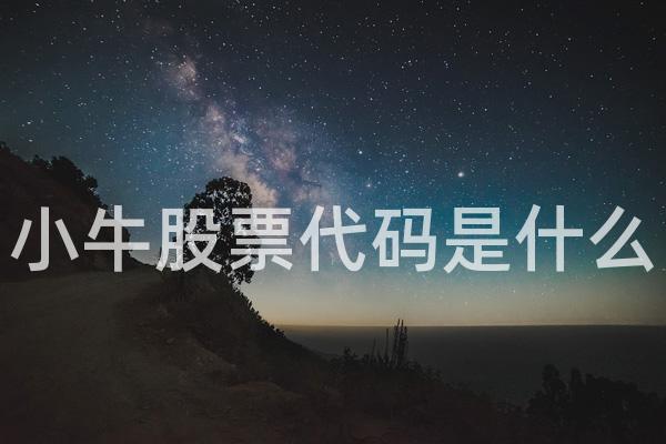 小牛股票代码是什么