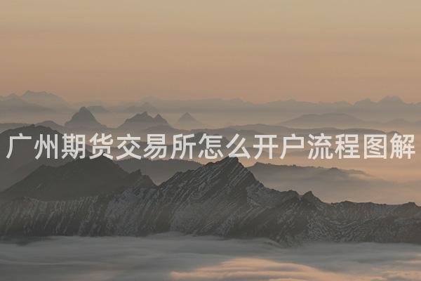 广州期货交易所怎么开户流程图解