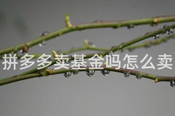 拼多多卖基金吗怎么卖