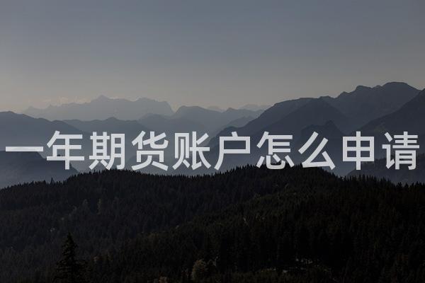 一年期货账户怎么申请