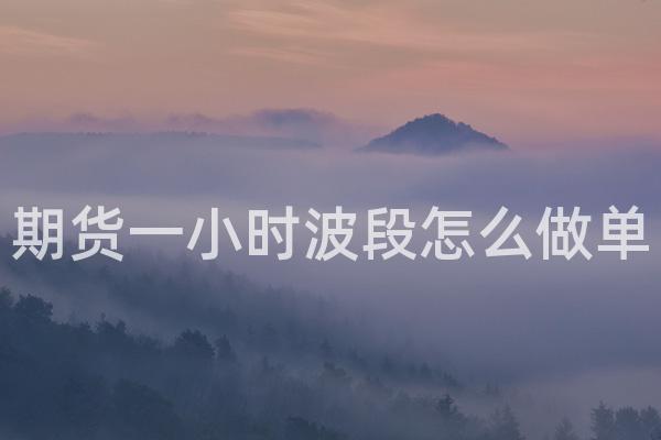 期货一小时波段怎么做单