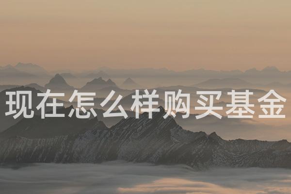 现在怎么样购买基金