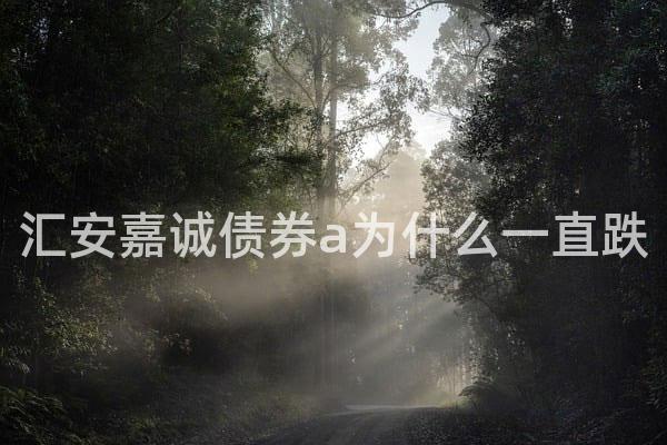 汇安嘉诚债券a为什么一直跌