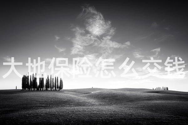大地保险怎么交钱