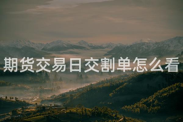 期货交易日交割单怎么看