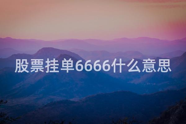 股票挂单6666什么意思