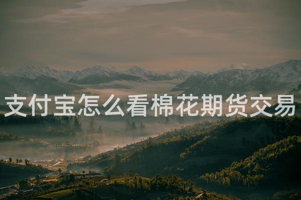 支付宝怎么看棉花期货交易