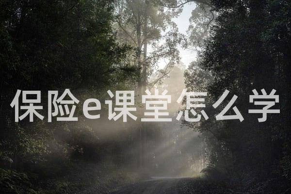 保险e课堂怎么学